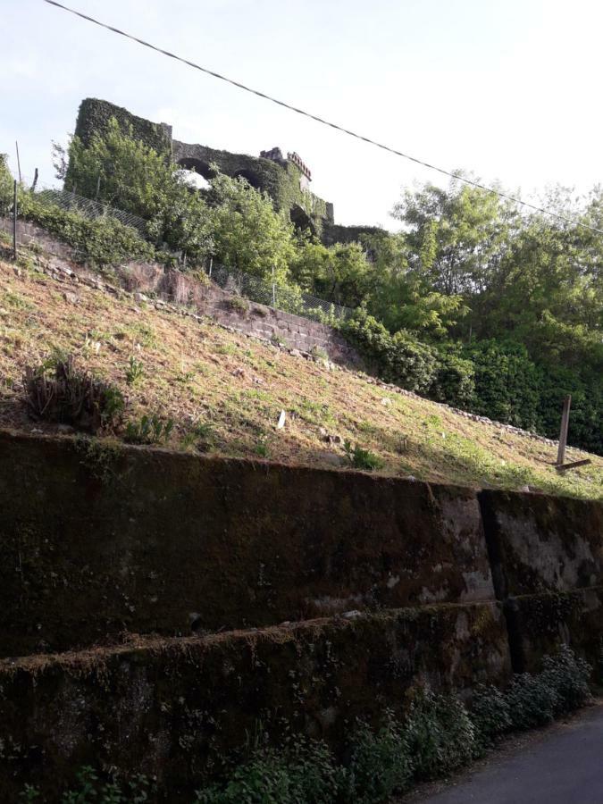 לינה וארוחת בוקר Trebiano Da Giuse מראה חיצוני תמונה